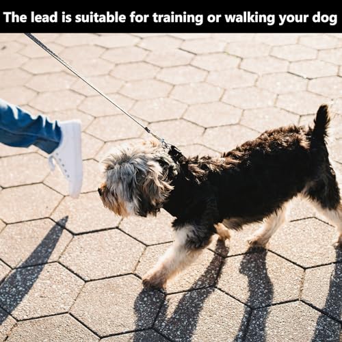 Schleppleine 5m für Hunde, Wasserdicht Hundeleine mit Handschlaufe und 360° Karabiner, Robuste Ausbildungsleine Schleppleine für Mittlere Große Kleine Hunde