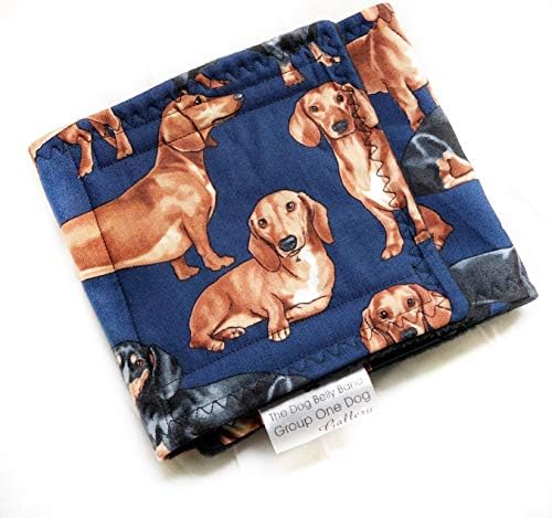 eric carle caterpillar toy