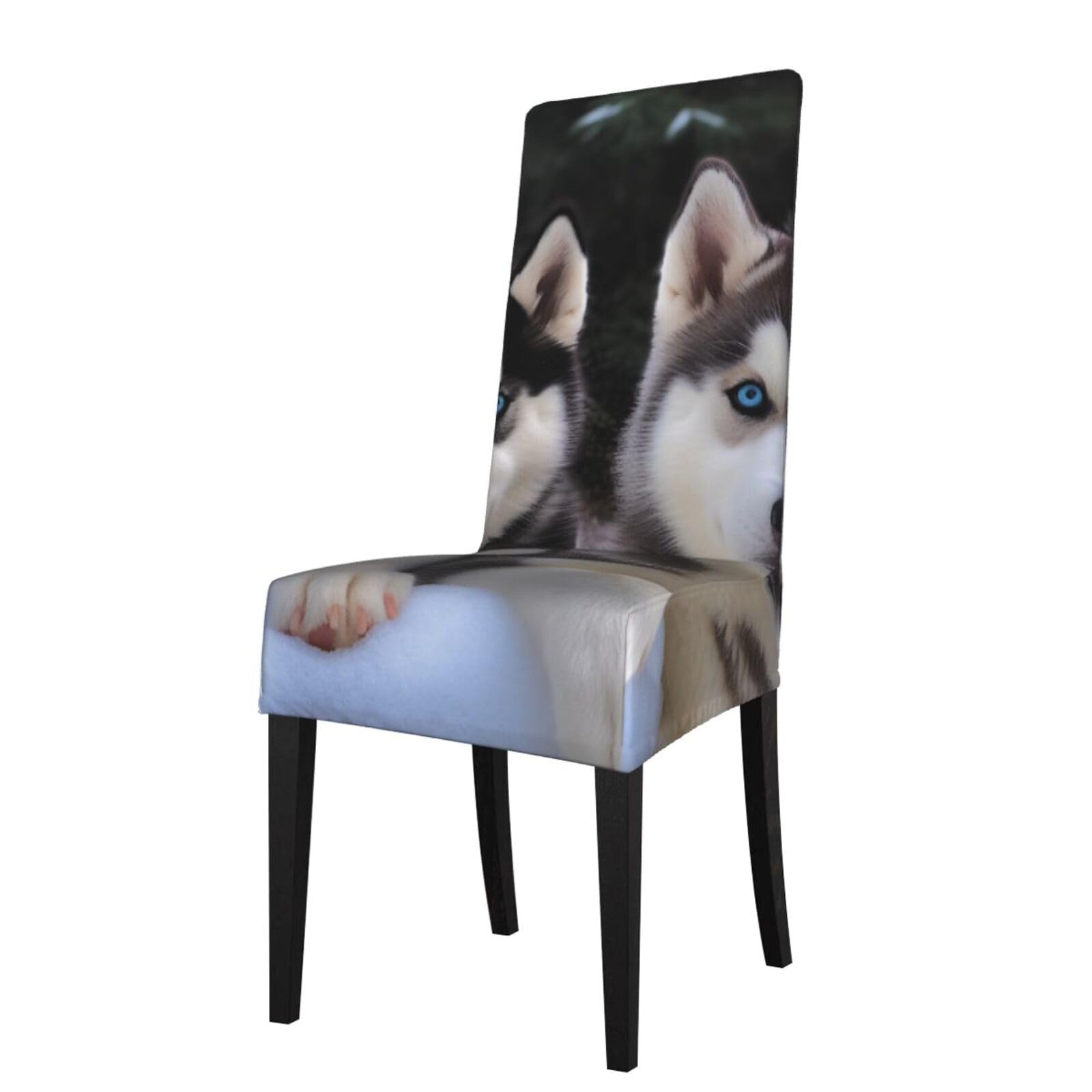 WPKJU Lovely Husky Print Dining Chair Covers Removable Chair Seat Covers Decorative for Kitchen & Bar Stools