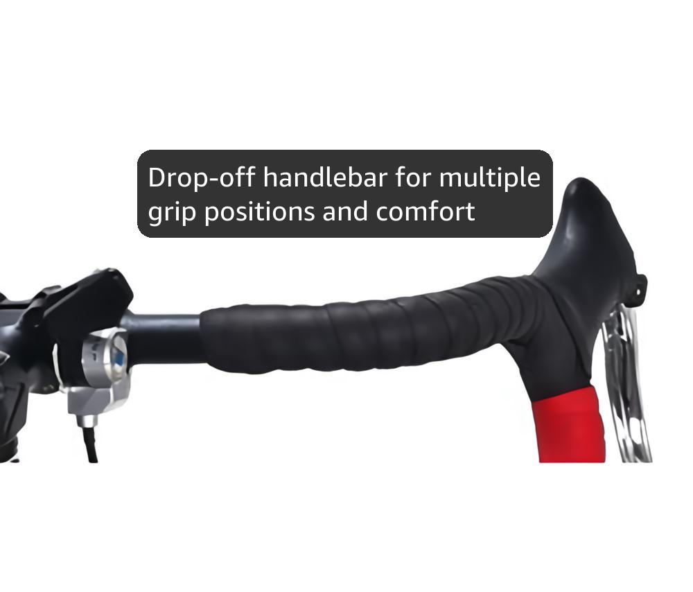 EUROBIKE Dual Disc Brake XC550 Road Bike 21 Speed Shifting System 54Cm Steel Frame 700C 3-Spoke Wheels Bicycle