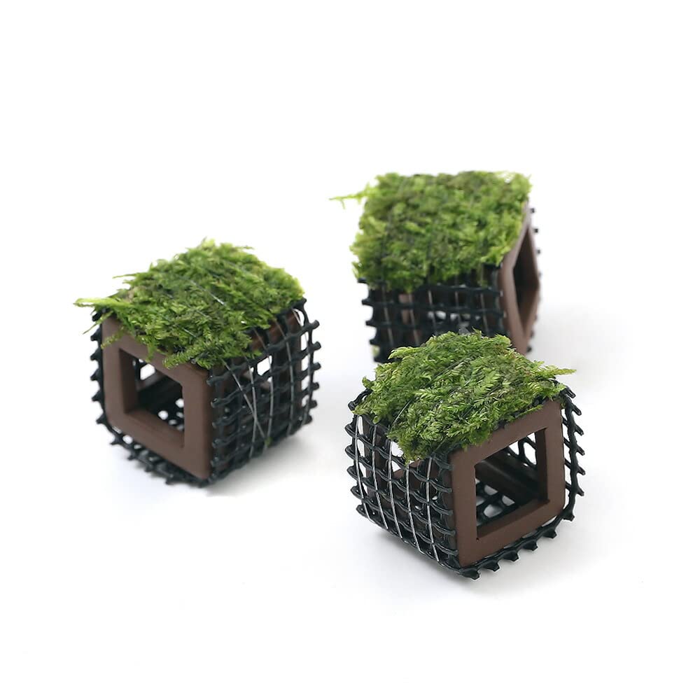 春を待つ寄せ植え 全面ウィローモス！ 春を待つ寄せ植え 全面