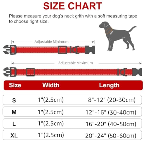 Image of Petology Reflective Adjustable Dog Collar for X-Large Dogs (50-60 cms) | Soft Neoprene Padded Nylon Pet Collar with Safe & Quick Release Buckle | Comfortable, Lightweight & Durable