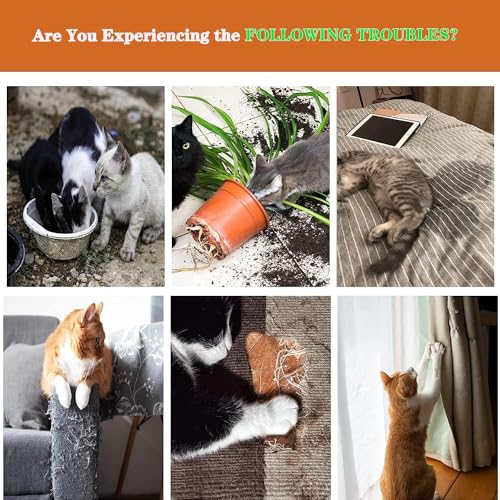 Pizulkao Cat Deterrent Spray, Cat Repellent Spray Indoor, Cat Urination Deterrent Keep Cats Away, Cat Scratch Deterrent Training Aid For Furniture thumb #6