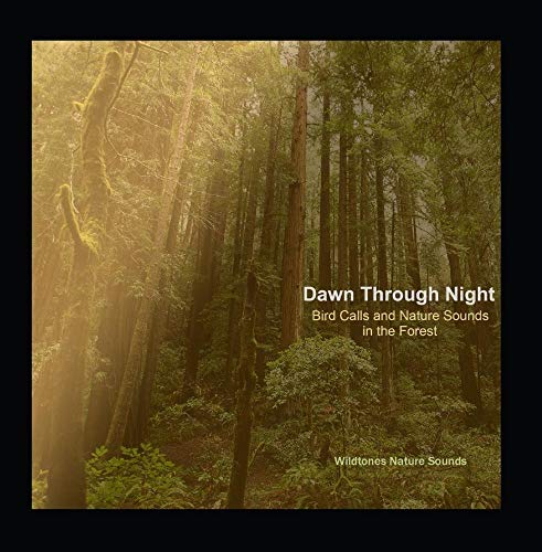 Dawn Through Night: Bird Calls and Nature Sounds in the Forest