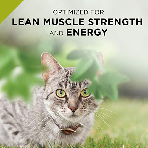 true nature cat food