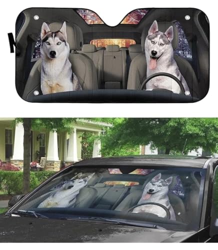 Pare-soleil pare-brise universel Husky pour auto et camion taille M