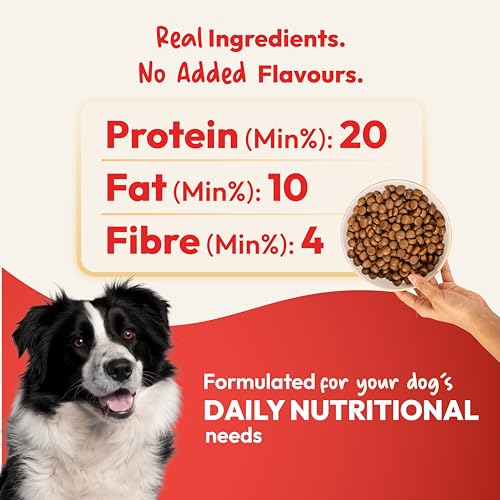 Image of DatGud Adult Dry Dog Food, Chicken & Brown Rice, 6 kg(3 kg + 3 kg Free) | Complete & Balanced Nutrition | Weight Management Support | Glucosamine for Joints | Easy Digestion | Healthy Skin & Coat