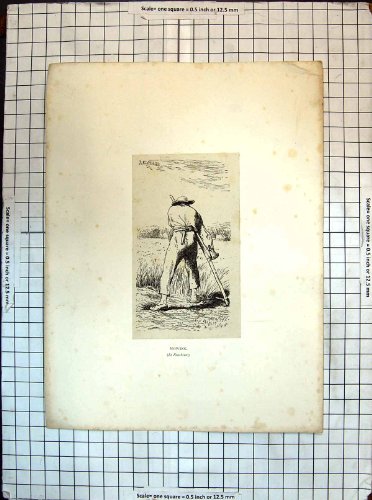 Original old antique victorian print Stampa Antica...