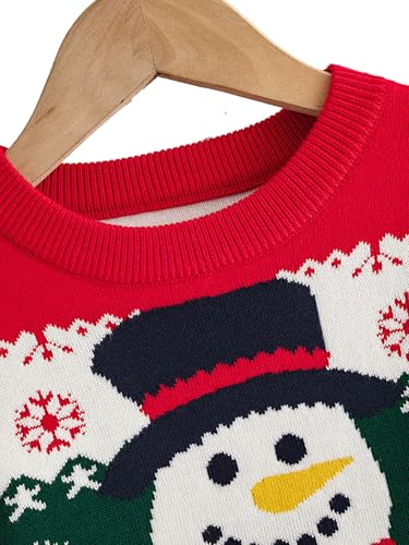 Danny D Boys & Girls Cartoon Christmas Sweater Casual Crewneck Winter Long Sleeve Pullover Tops2
