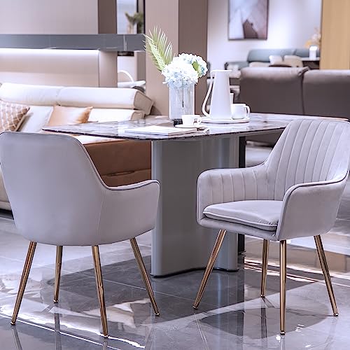 Image of Velvet Dining Chair Set of 2 - Modern Mid-Back Accent Chair with Gold Plating Legs - Comfy Upholstered Chair for Living Room,Bedroom&Reception Room (Velvet Grey, Set of 2)