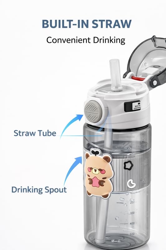 Image of Raawan 750ml Sipper Water Bottle for Adults & Kids | Leak-Proof, BPA-Free & Food Grade | Durable, Easy-to-Carry Bottle for School, Office & Picnic | Grey