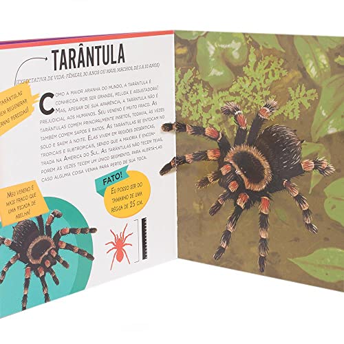 Lenticular 3D - Animais Perigosos: Aranhas