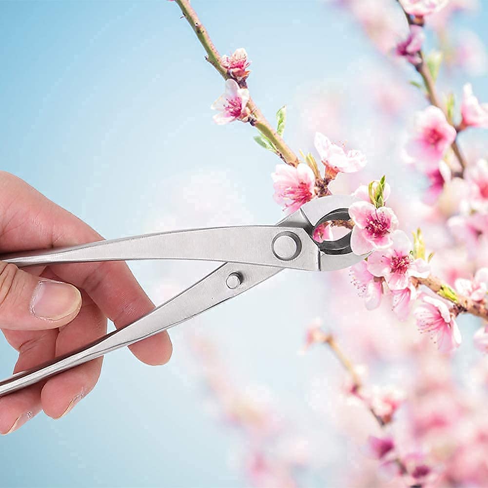 Zerodis Taglierina Bonsai, Forbici con Impugnatura ergonomica, Acciaio Inossidabile Resistente Usura e ruggine, Taglio concavo per Rami Piccoli Fiori Alberi da frutto Giardino