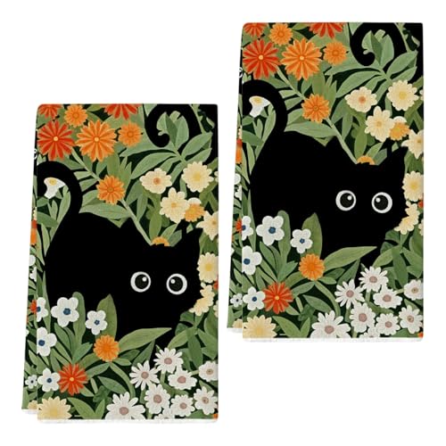 L̃CXgӂEȑ@ۈSȃLb`ANZT[ACeLb`NX