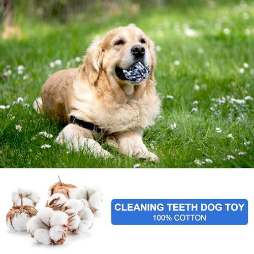 HENGBIRD Hund Seil Ball, 10 Stück Hundespielzeug Ball Seil, Geflochtener Baumwolle Langlebige Hundebälle für Hunde Zahnreinigung, Kauspielzeug für Welpen beim Zahnen, Nein Große Hunde, Hunde Ball