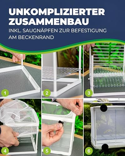 HOBBY Aquaristik Nido 3.1 I 16 x 16 x 14 cm I Netz-Ablaichbehälter zum Separieren von trächtigen Fischen und zur Aufzucht von Jungfischen I Fisch Ablaichkasten für Aquarien I Aquarium Zubehör
