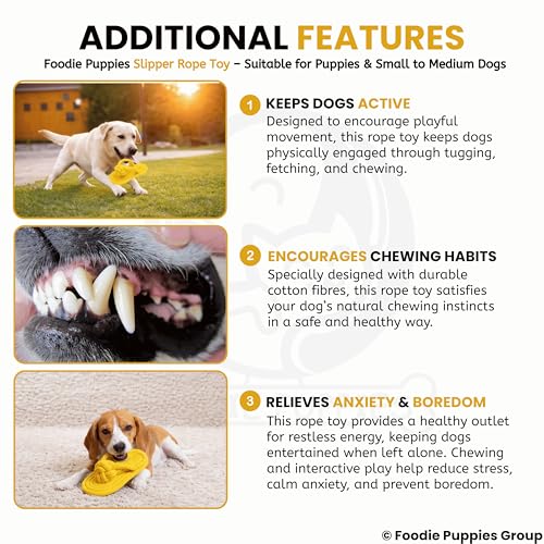 Image of Foodie Puppies Durable Cotton Rope Chew Toy for Dogs | Chewing, Fetching, Playing, Teething & Training for Small to Medium Dogs & Puppies (Slipper Rope)