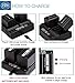 BM VW-VBD58, VBD78, VBD98 Dual Bay Battery Charger (AG-B23 Replacement) for Panasonic AG-VBR59, BGH1, HC-X1, HC-X1500 HC-X2000, AG-CX10 AG-CX350, AG-UX180, AG-AC30, AG-UX90, DVX200, HC-MDH3E, AJ-PX270