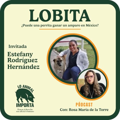 &iquest;Puede un perro ganar un juicio? Lobita: El Hito Jur&iacute;dico de la Perrita Comunitaria en M&eacute;xico