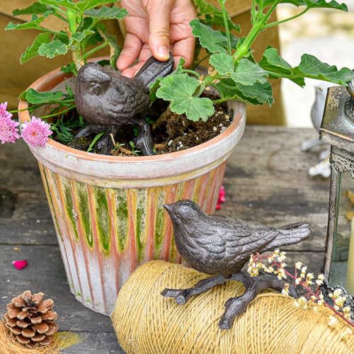 Sungmor-Cast-Iron-Small-Bird-Statues-Set-of-2-Rust-Brown-Bird-with-Branch-Collectible-Figurines-Farmhouse-Home-Garden-Decorative-Bird-Sculpture-Realistic-Indoor-and-Outdoor-Ornaments Sungmor Cast Iron Small Bird Statues Set of 2 Rust Brown Bird with Branch Collectible Figurines Farmhouse Home Garden Decorative Bird Sculpture Realistic Indoor and Outdoor Ornaments
