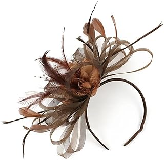 Diadema para mujer, tocado de plumas, para banquete, boda, fiesta, tiara nupcial
