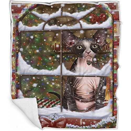 Doggie of the Day Sphynx Cat Blanket - Please Come Home for Christmas - Super Soft & Warm Pet Theme for Sofa or Bed, Warm Fleece, Sherpa or Woven Material BLNKT157515 (60x80 Fleece)
