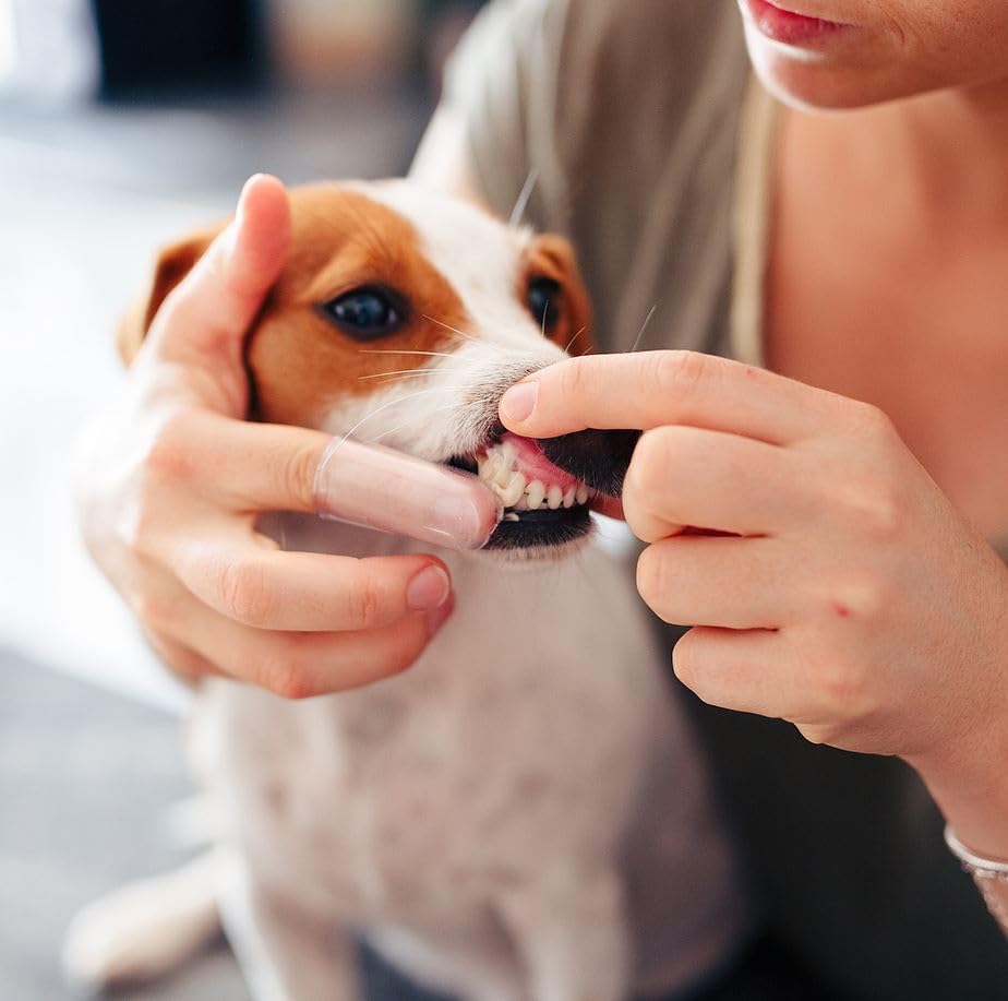 Virbac C.E.T. Zahnpasta | Mit Geflügelaroma für Hunde und Katzen | Patentiertes C.E.T. System