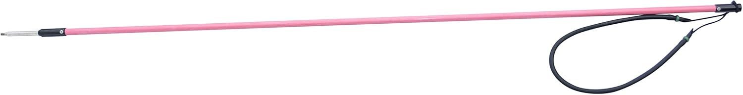 Bandito 3104 Pole Spear