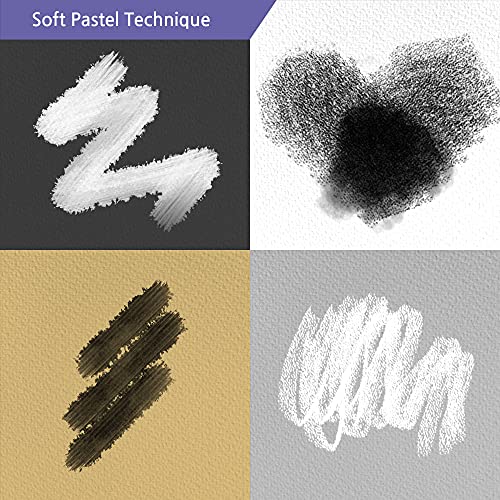 HA SHI Charcoal Sticks for Professional Artists, Square Non-Toxic Art Supplies, Dry Pastels Set, 6 Long Sticks (White & Black)