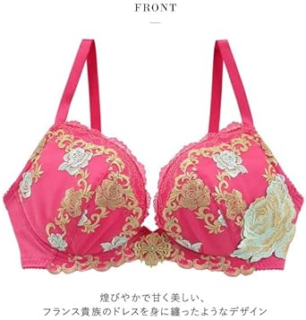 Amazon.co.jp: Wacoal Salute Salute 22AW Fair 73G BTJ273