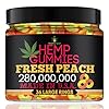 Hemp Gummies for Peace and Relaxation-High Potency Hemp Oil Gummys Peach-Fresh Full Flavor-Natural Hemp Edibles-for Back, Knees, Calm, Sleep, Discomfort-36 Large Rings-Made in USA