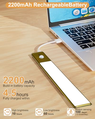 12" Picture Lights for Wall, Motion Sensor Rechargable Picture Light , Magnetic LED Art Painting Light with Timer, Remote & Dimmable Wall Lighting for Gallery, Paintings, Portraits, Bedroom (Gold) — view 6