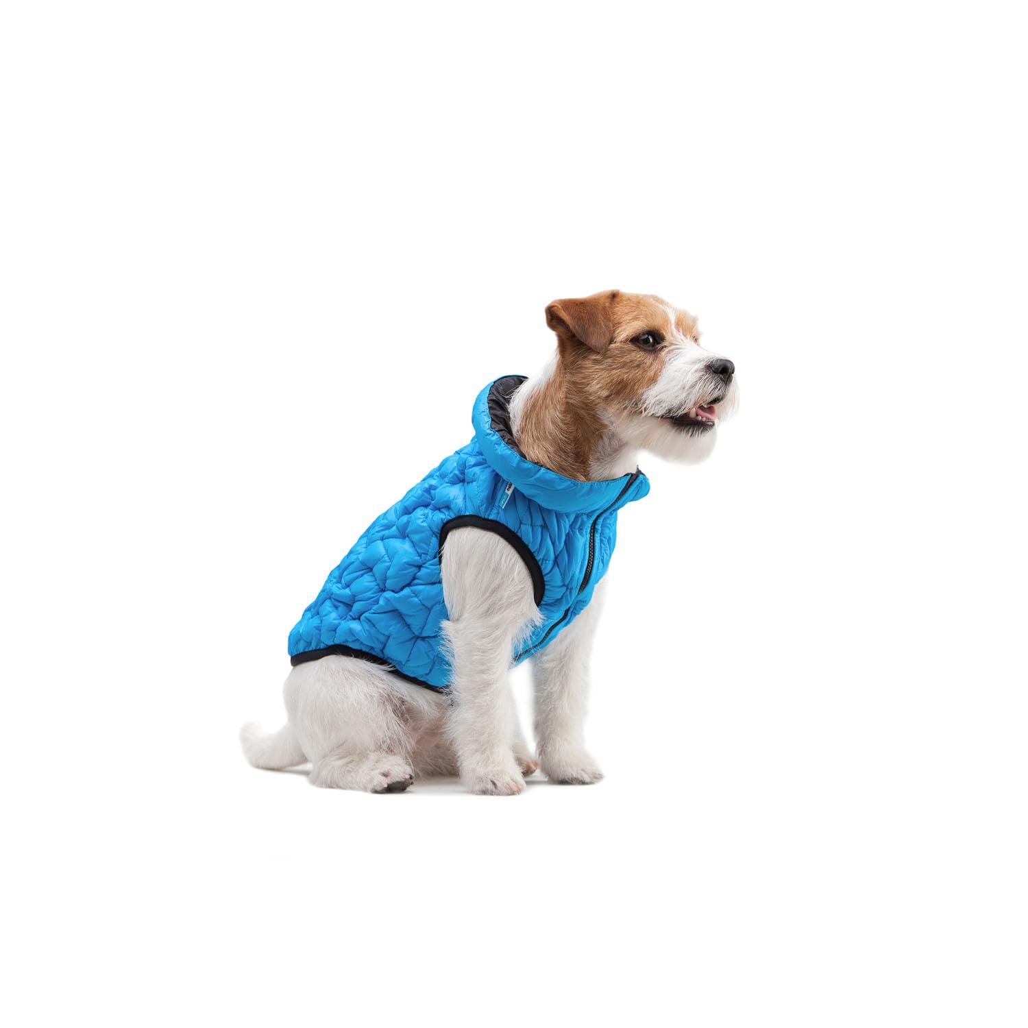 AiryVest, chaqueta flexible para perros con bolsillo, resistente al agua, abrigo para perros, impermeable, azul, XS – 28 x 41 x 27 cm