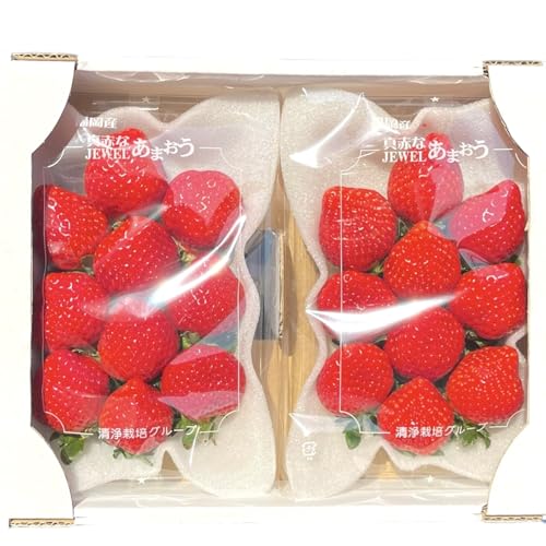 博多 あまおう 12〜28粒入り 福岡県産 いちご ギフト プレゼント ご家庭にも 赤くて丸くて大きいのサムネイル