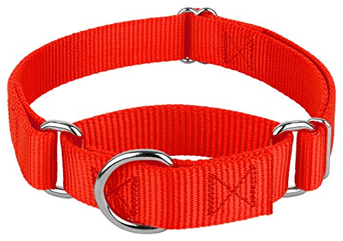Country Brook Petz - Martingale