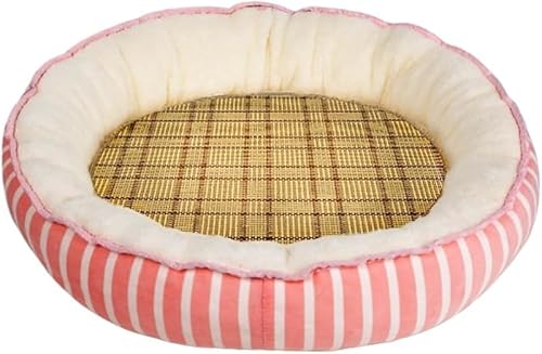 AZIEBAY ی^ybgxbhALƌɍœKATCYAӂӂŏ_炩Ag􂦂A^^ɍœKAAp}bgtB