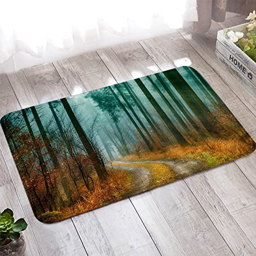 Paillasson extérieur automne aux nuances vert jaunâtre tapis chemin des arbres salon