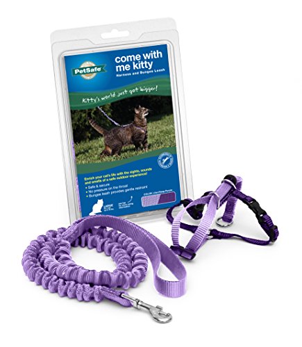 PetSafe-Come-With-Me-Kitty-Harness-and-Bungee-Cat-Leash-Medium-Lilac