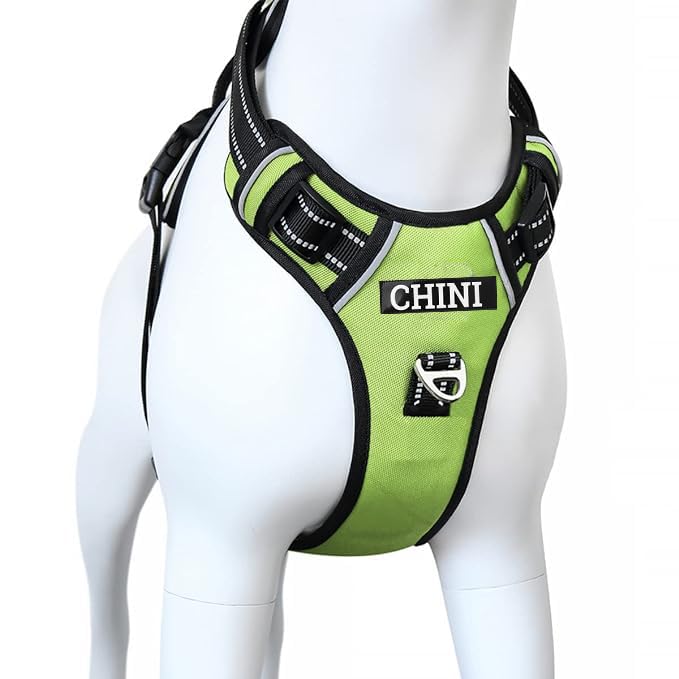 See full amazon price history chart for The Pets Popular Customized Dog Double Sided Harness with Dog Name and Emergency Contact Number Adjustable and Reflective Comfortable Harness for Dogs with Rope (Small, Green) The Pets Popular Customized Dog Double Sided Harness with Dog Name and Emergency Contact Number Adjustable and Reflective Comfortable Harness for Dogs with Rope (Small, Green) (B0CTKPTGBK) Amazon Price History, Amazon Price Tracker