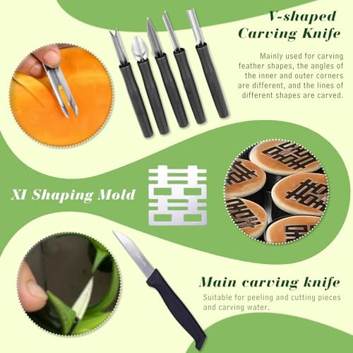 46-Piece Fruit Carving Tools Set