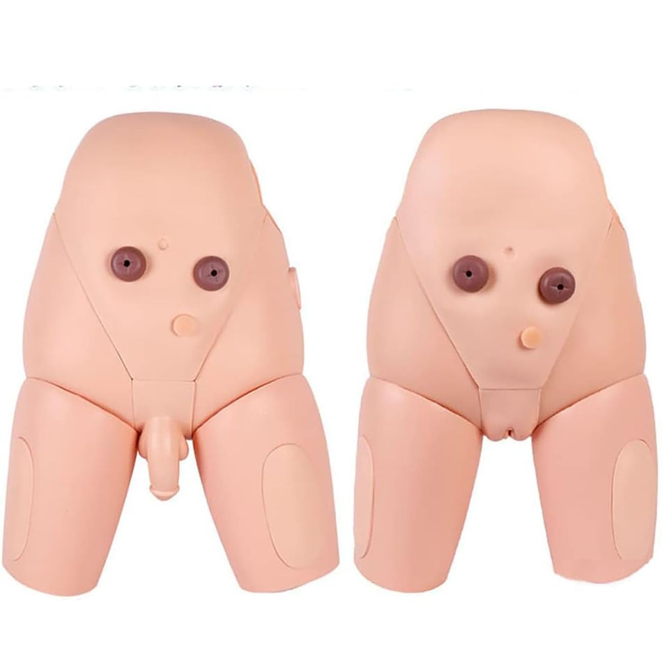 Modèle De Cathétérisme Interchangeable Homme-Femme, Moule pour l'enseignement du Cathétérisme, Formation Au Cathétérisme pour La Pratique Médicale
