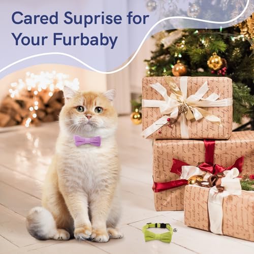 Cat Collar 2-Pack $4.99 with Code XJY9I568 - Image 2