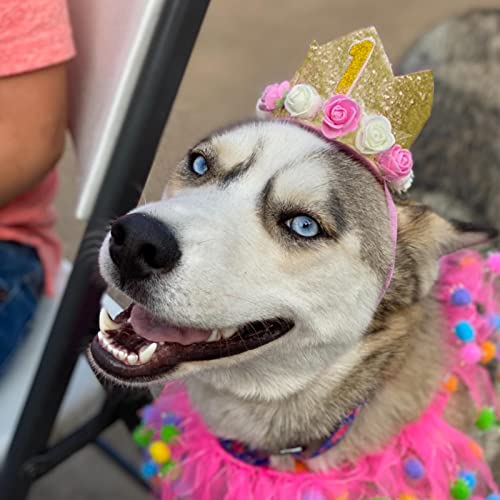 Pet Birthday Party Crown with 0-9 Figures Charms (Gold) - Image 5