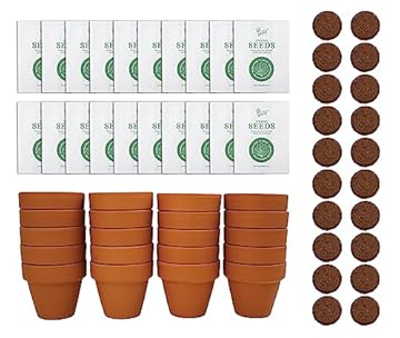 Top Indoor Plant Seeds That Will Transform Your Home Garden 3 best indoor plant seeds to grow