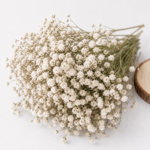 120 Pcs Mini Dried Flowers Natural Babys Breath Flowers with Ivory White Flowers Natural Gypsophila Branches for DIY Wreath Home Wedding Table Vase Décor