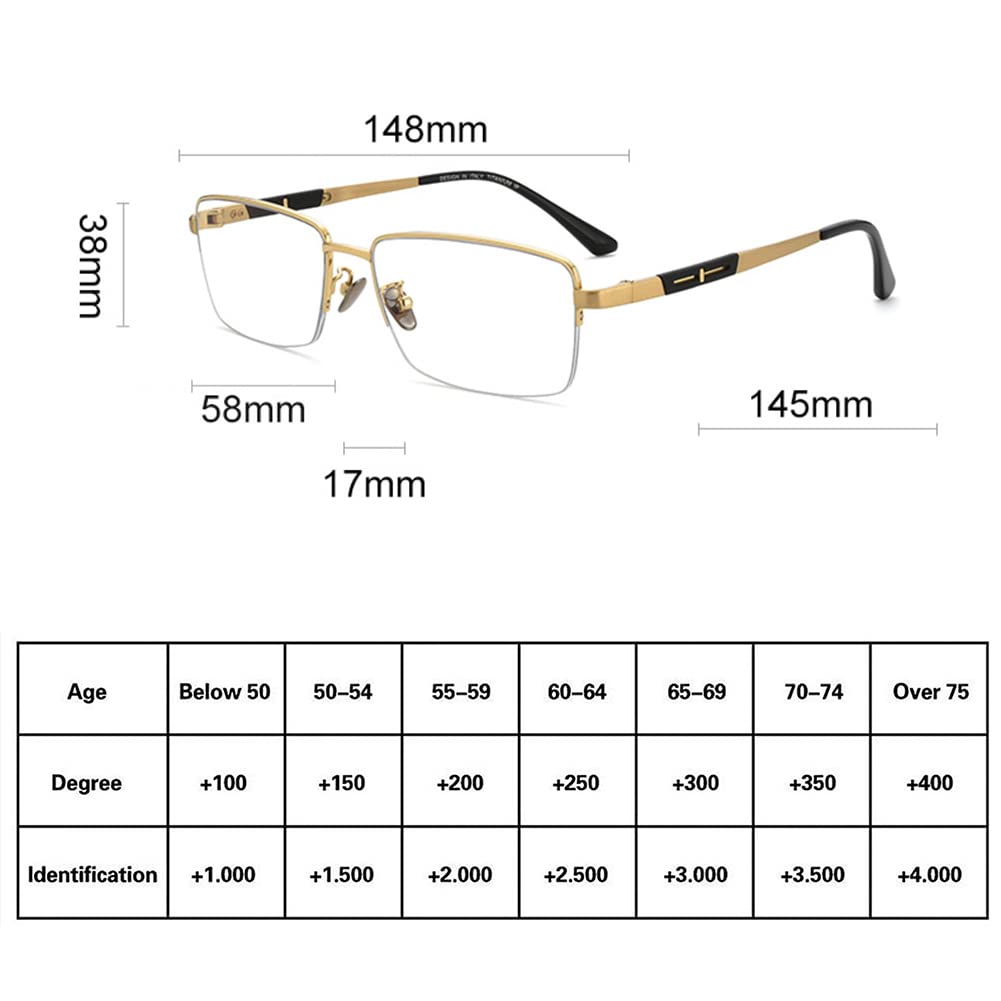 RICCIE Intelligente Herrenbrille aus Reintitan Gleitsicht Multifokus Anti-Blue Presbyopie Brille, HD Asphärisches Harzglas Leser Dioptrie +1,0 bis +3,0,03,+1.25