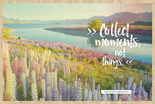 Lupine: Flower-Power-Proteine