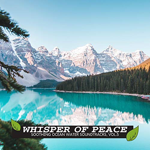 Holly Waves Nature Sound Library