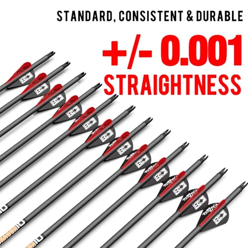 Image of sanlida 100% Pure Carbon Hunting Arrows, Olympic-Grade 10 Spines Deflection (Unique), 0.001 inch /0.003 inch /0.006 inch Straightness, Buy 12 Get 12 Free /Buy 6 Get 6 Free, for Compound & Recurve Bows (12 /24PCS)