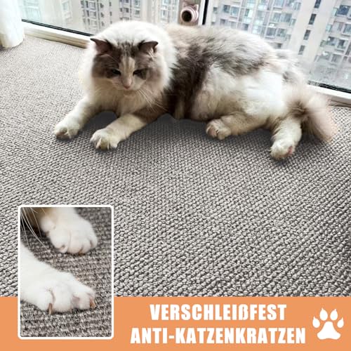 FANGCCC Schmutzfangmatte Innen 50 x 80 cm, rutschfest Fußmatte Außen und Innen, Waschbar Sauberlaufmatte Türmatte, Wasserdicht Eingangsteppich, Absorbierend Fussmatte für Eingang, Haustür, Flur, Grau